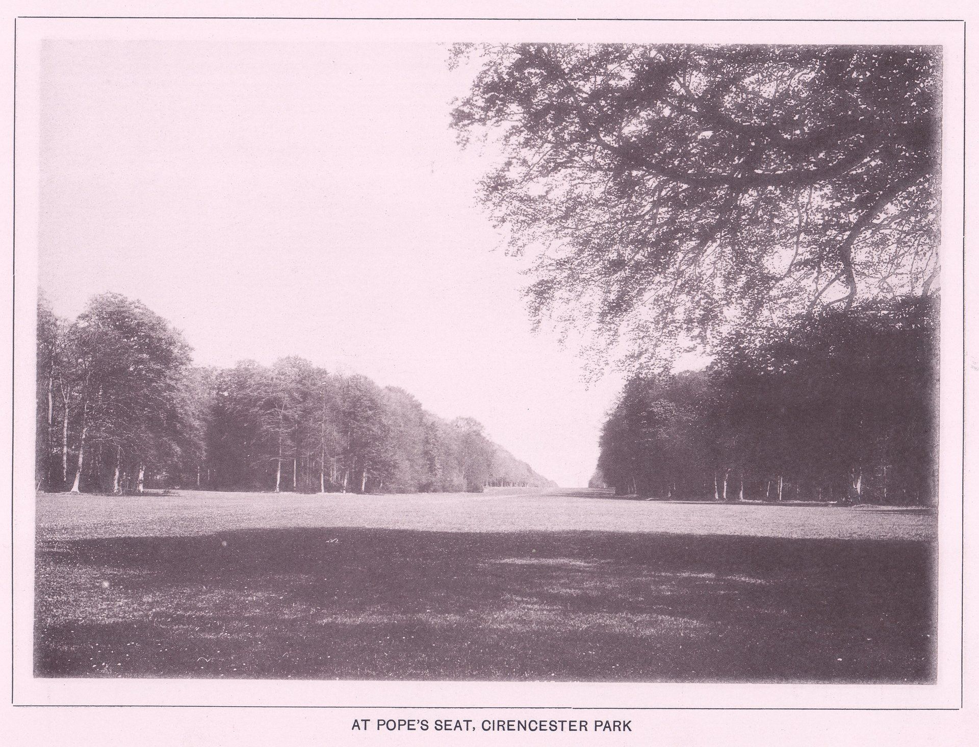 AT POPE'S SEAT, CIRENCESTER PARK