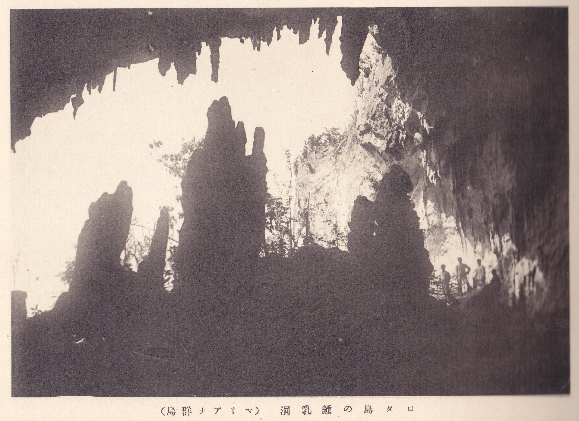 ロタ島の鍾乳洞（マリアナ群島）