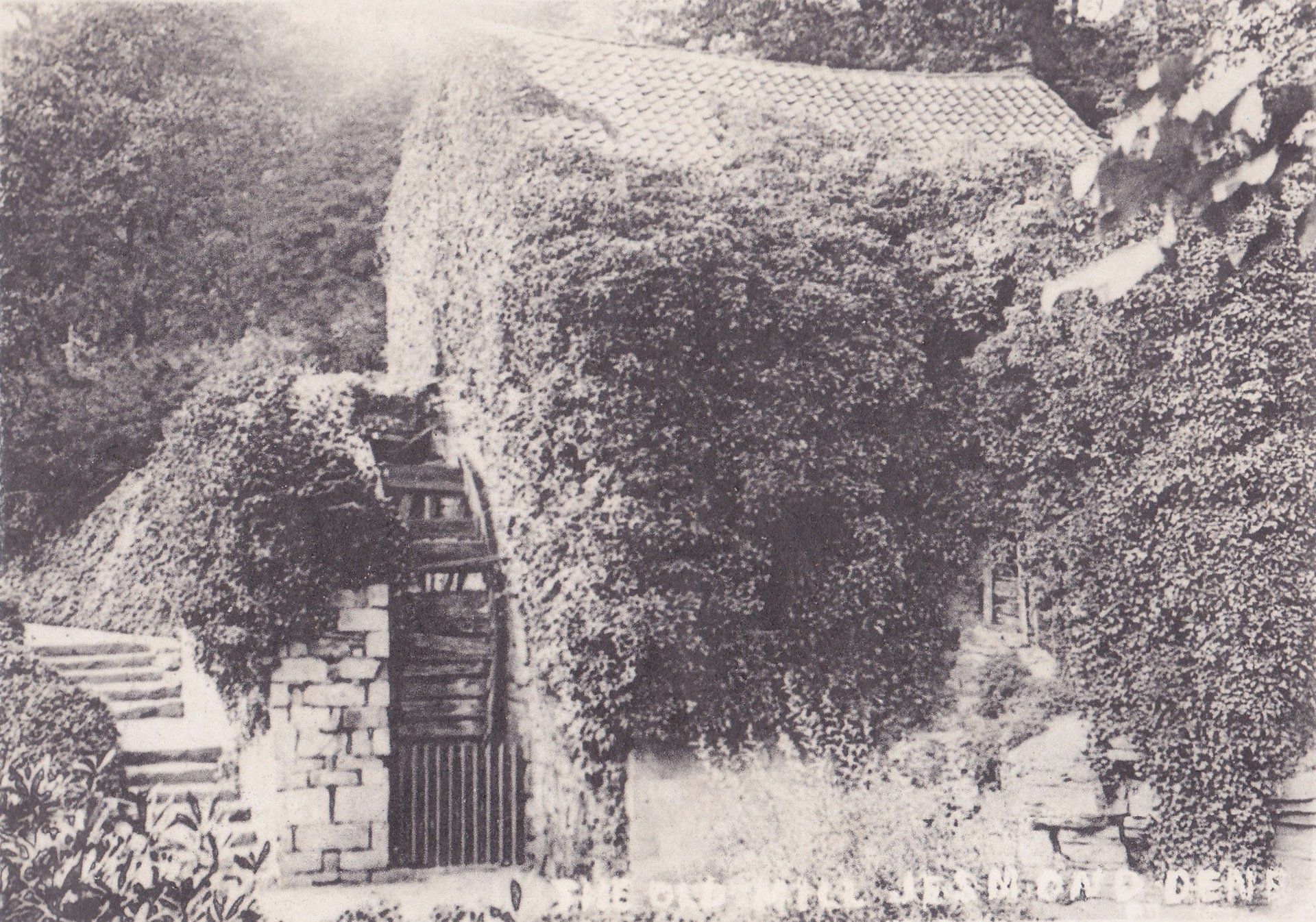 THE OLD MILL JESMOND DENE