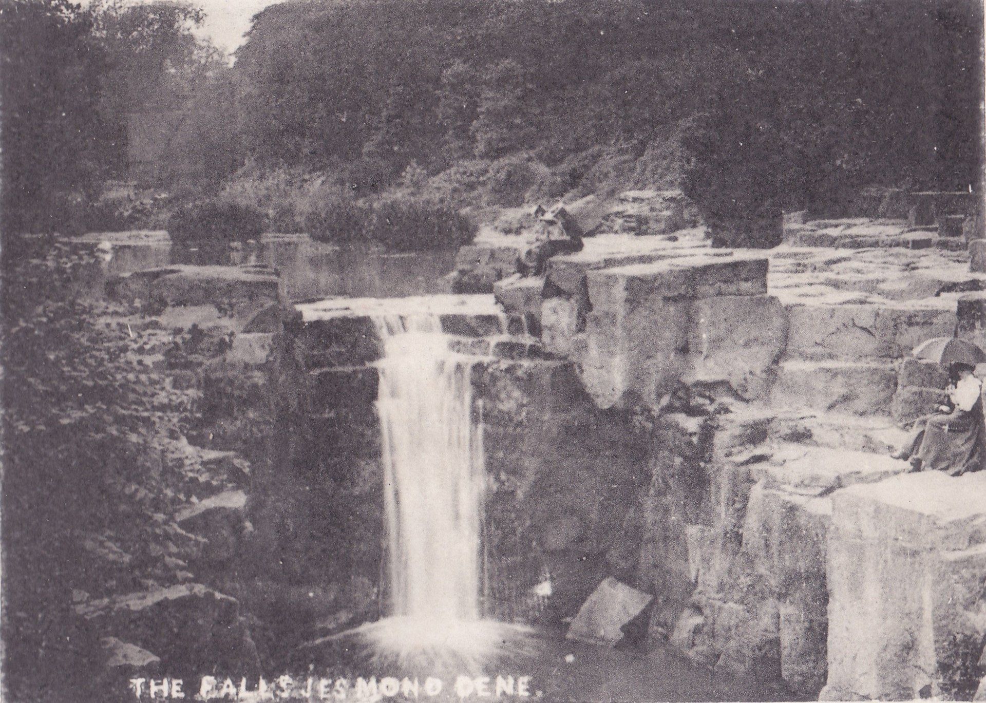 THE FALLS JESMOND DENE.