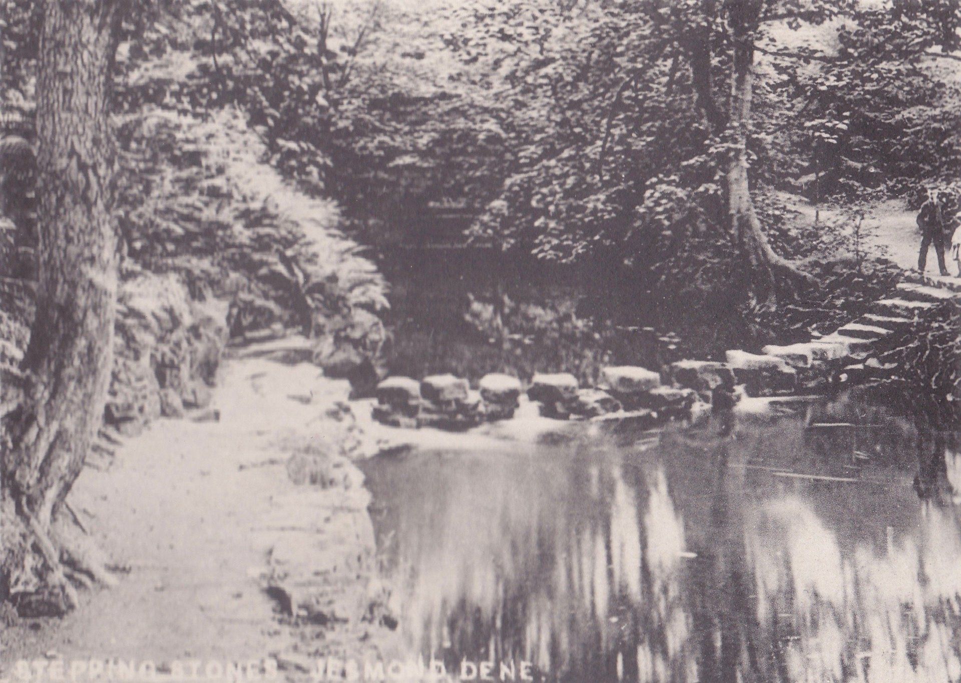 STEPPING STONES JESMOND DENE.