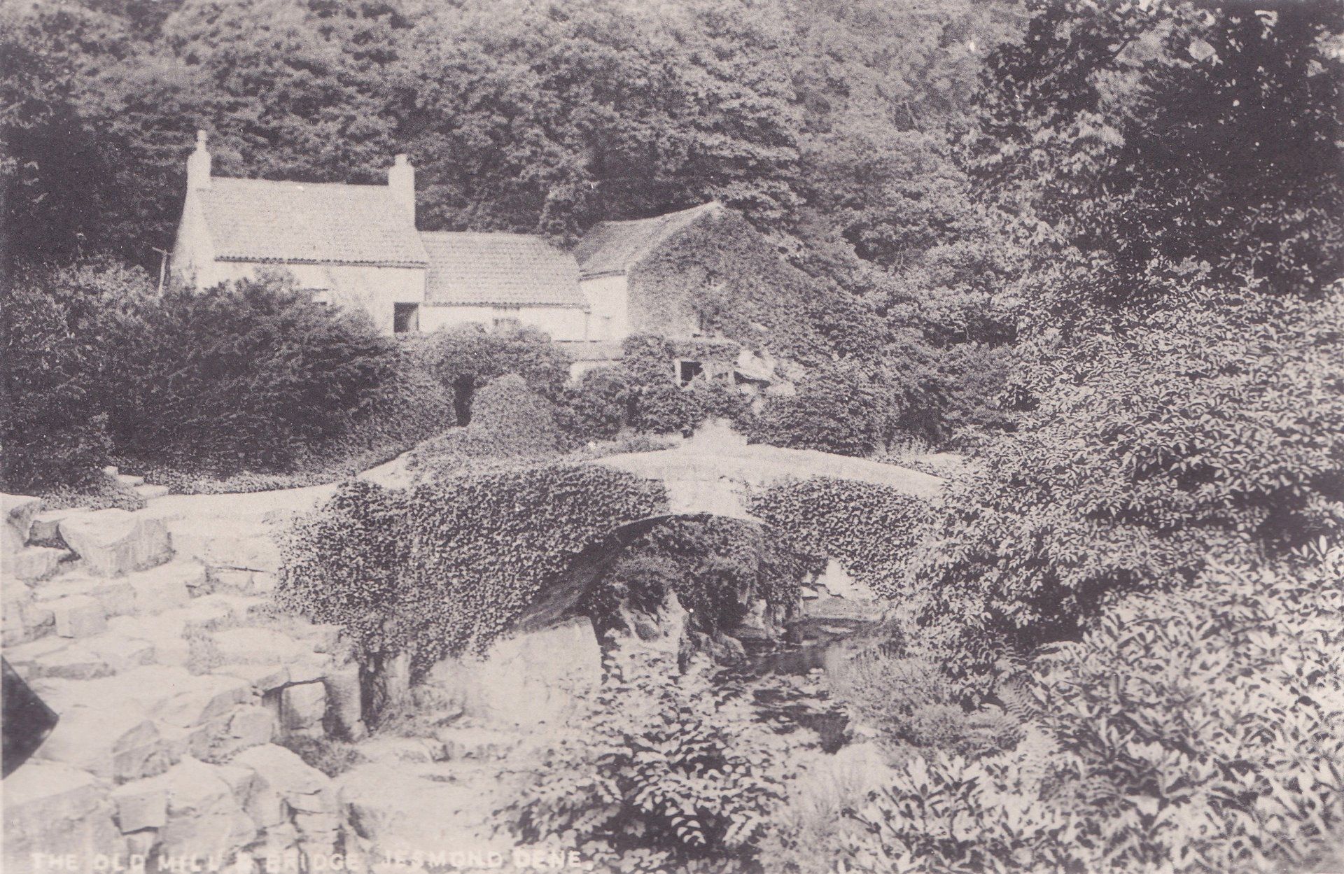 THE OLD MILL & BRIDGE JESMOND DENE.