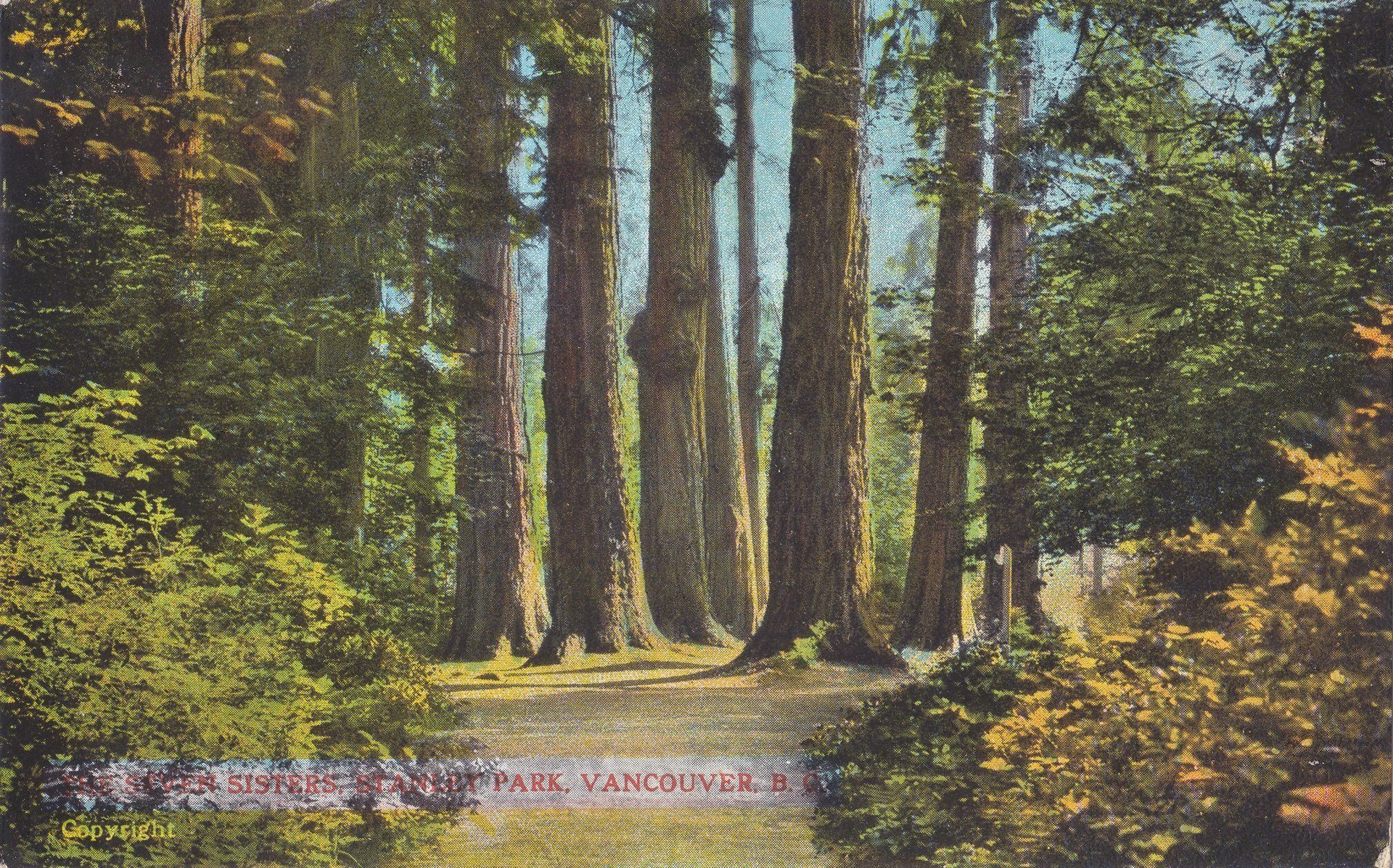 THE SEVEN SISTERS. STANLEY PARK. VANCOUVER, B.C.