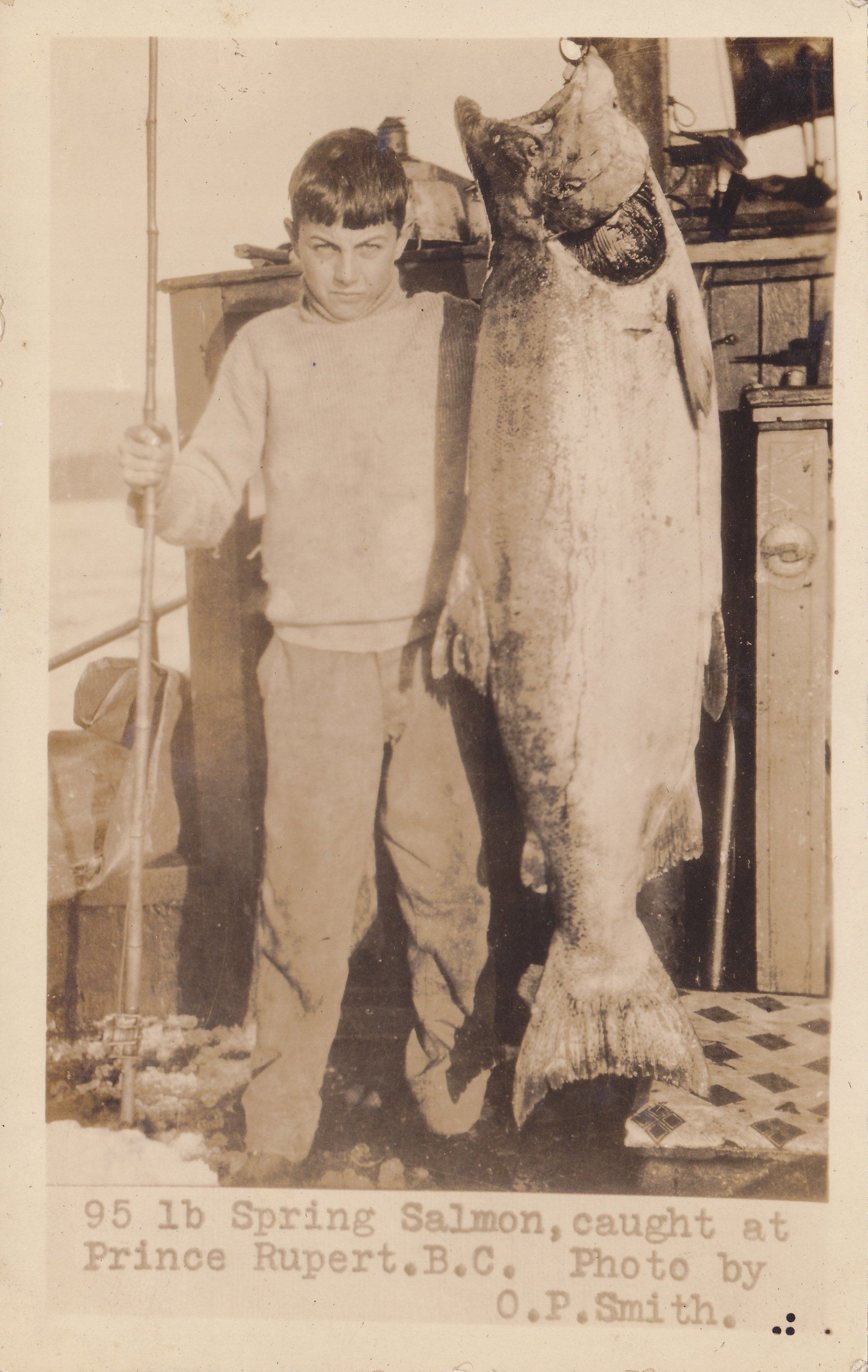 95 lb Spring Salmon, caught at Prince Rupert. B.C. Photo by O.P. Smith.