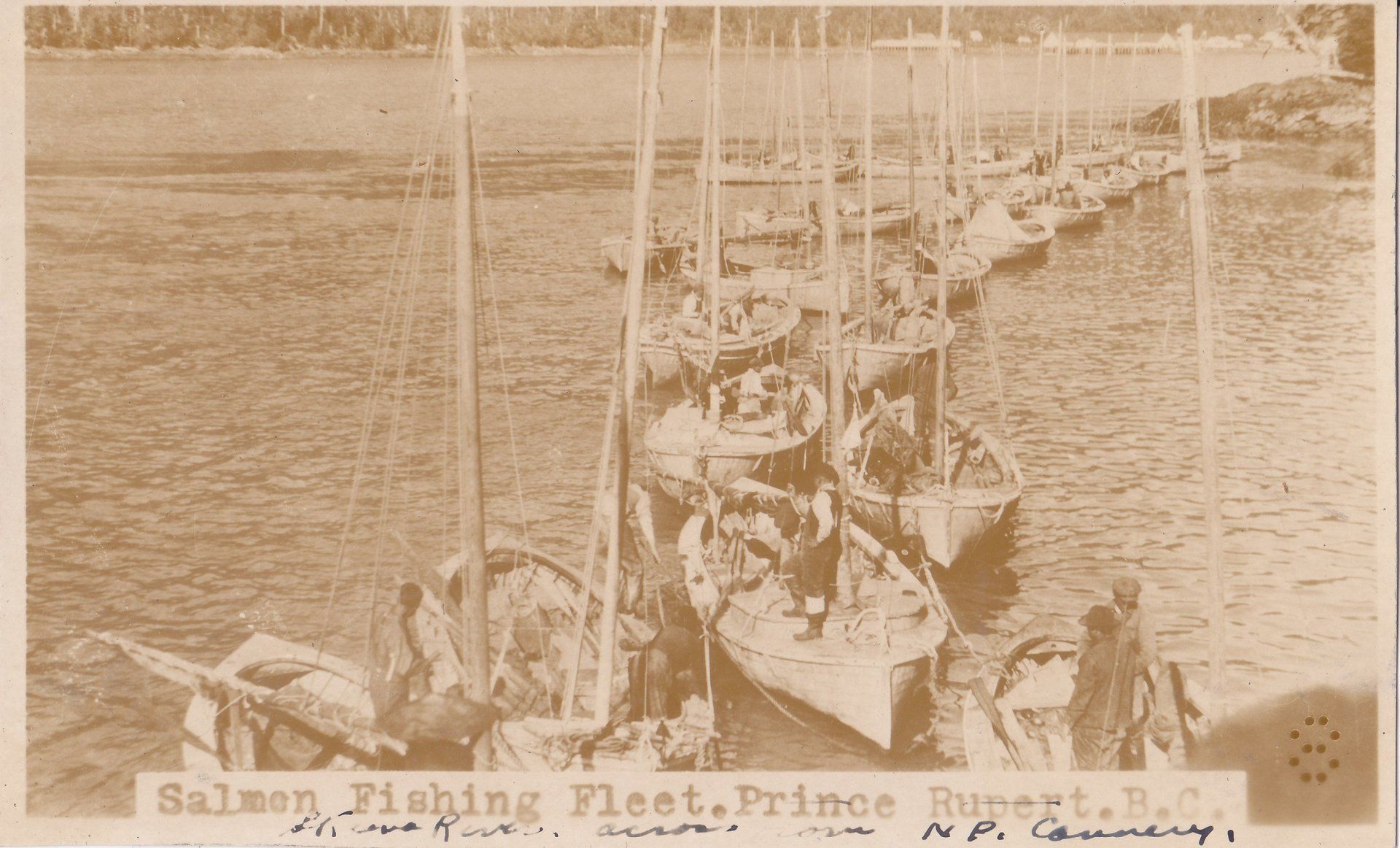 Salmon Fishing Fleet. Prince Rupert. B.C.