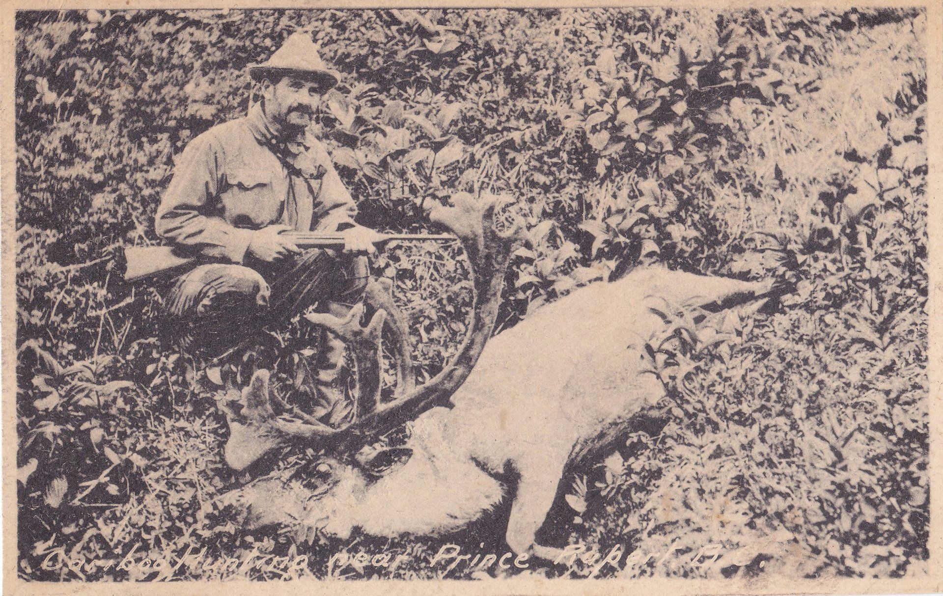 Cariboo Hunting near Prince Rupert, B.C.