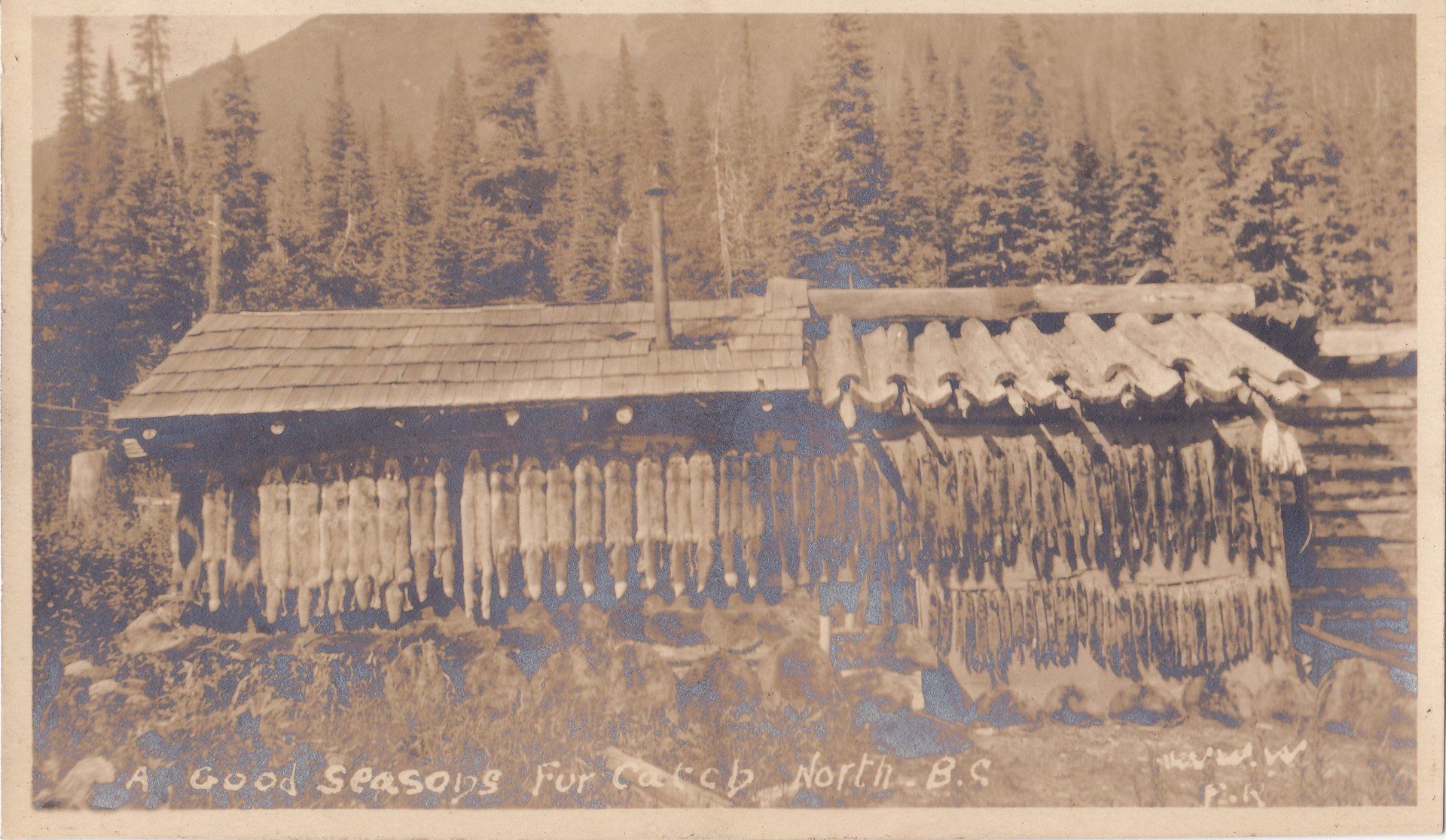 A Good Seasons For Catcb North B.C.