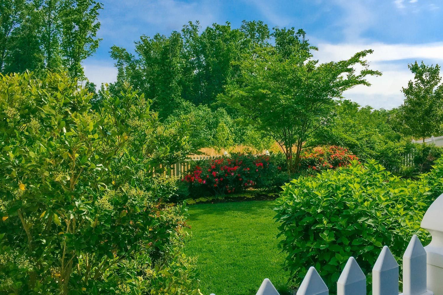 Lush garden with red flowers, white fence, and tall surrounding trees.