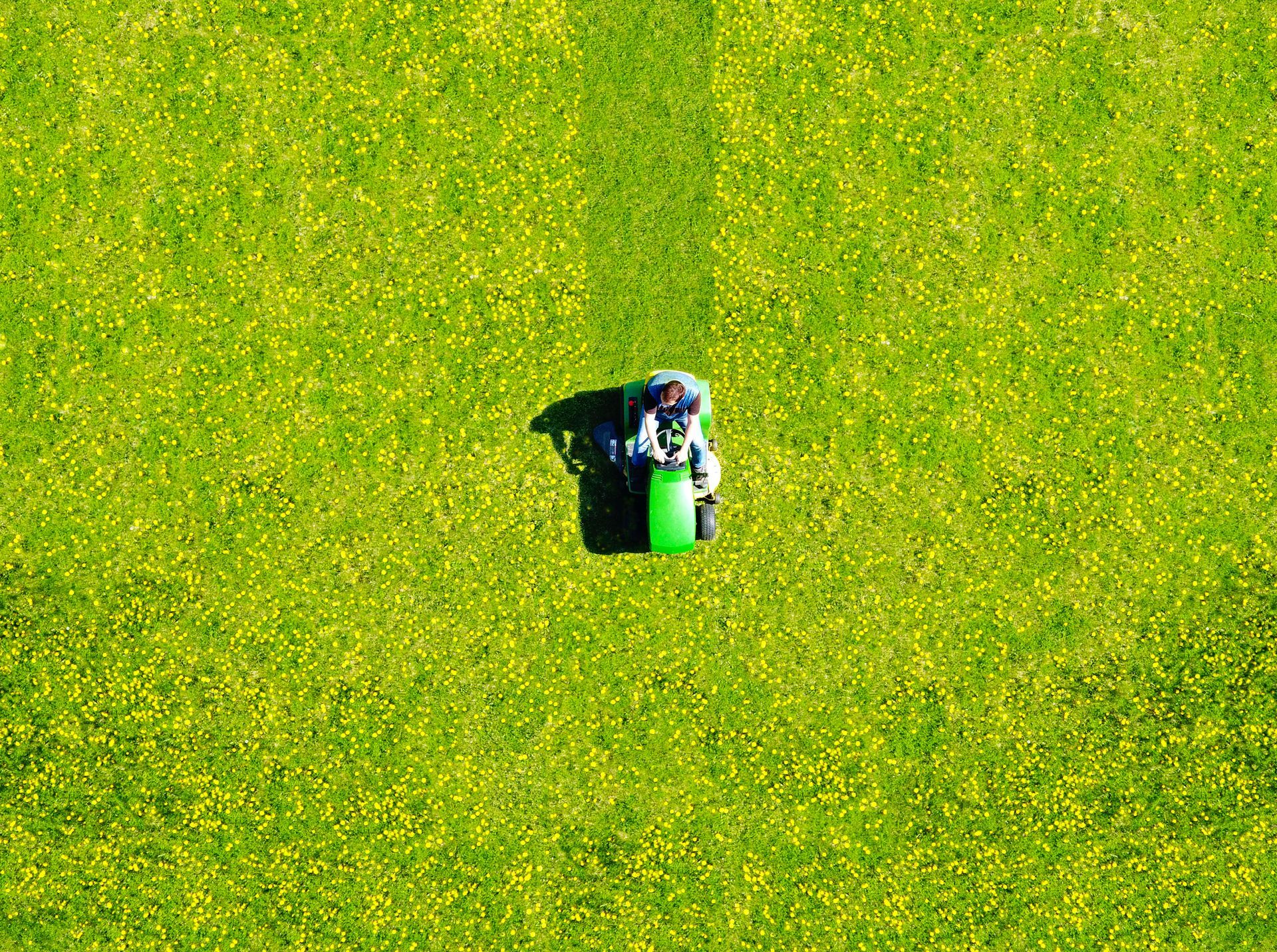 Aerial view of person mowing green lawn with ride-on mower.