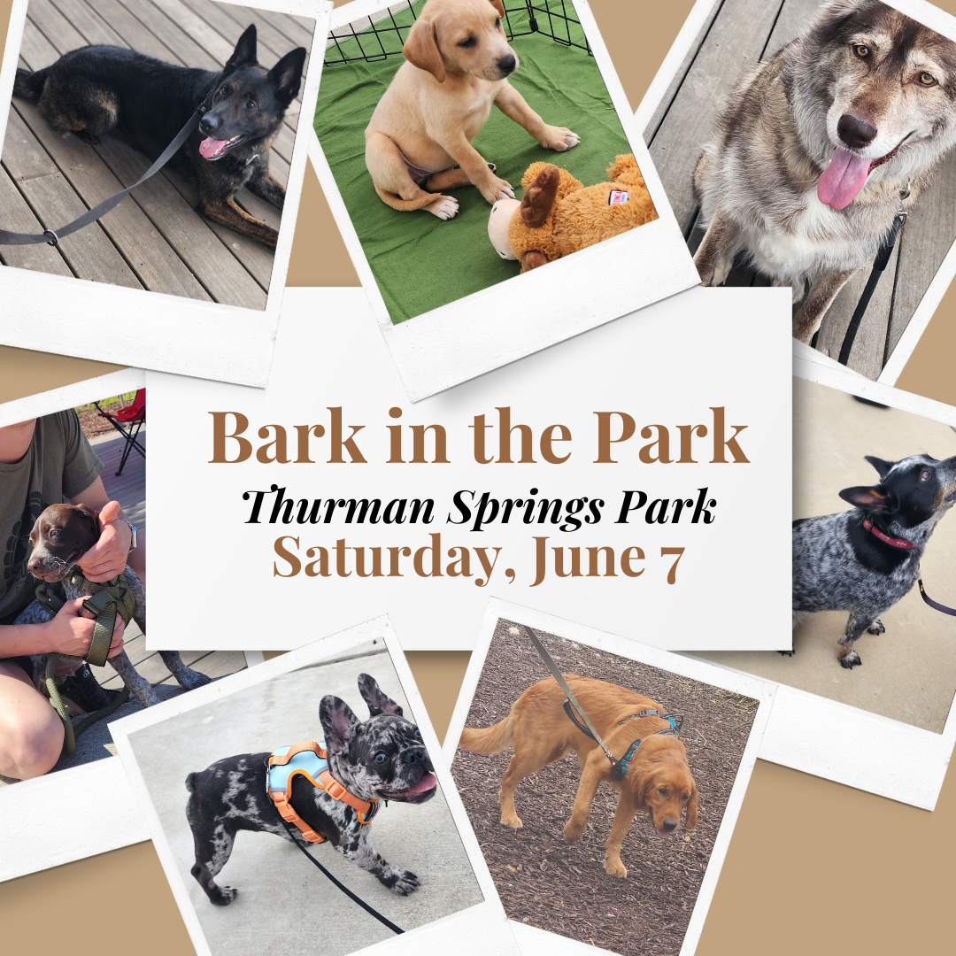 Bark in the Park Thurman Springs Park