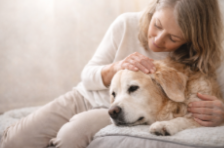 Woman petting a golden retriever lying on a bed.
