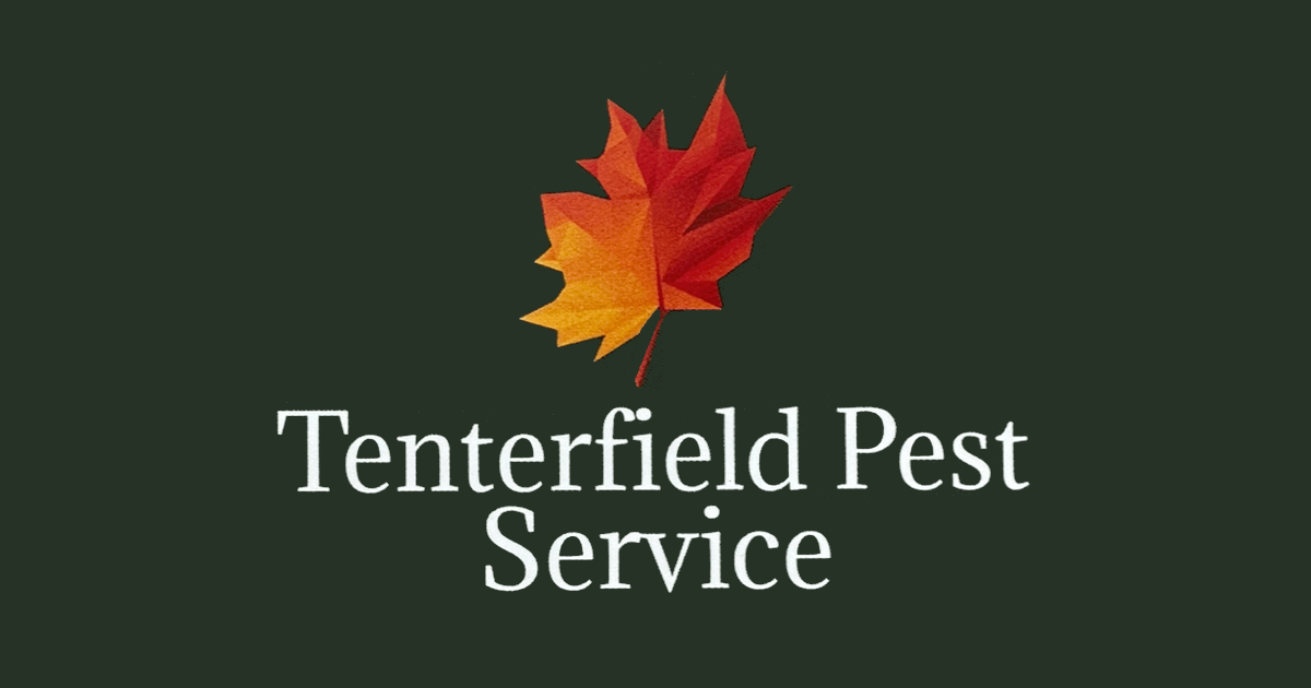 About Tenterfield Pest Service