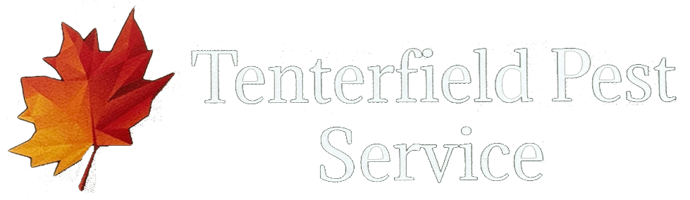 Tenterfield Pest Service: Professional Pest Control Services in Tenterfield