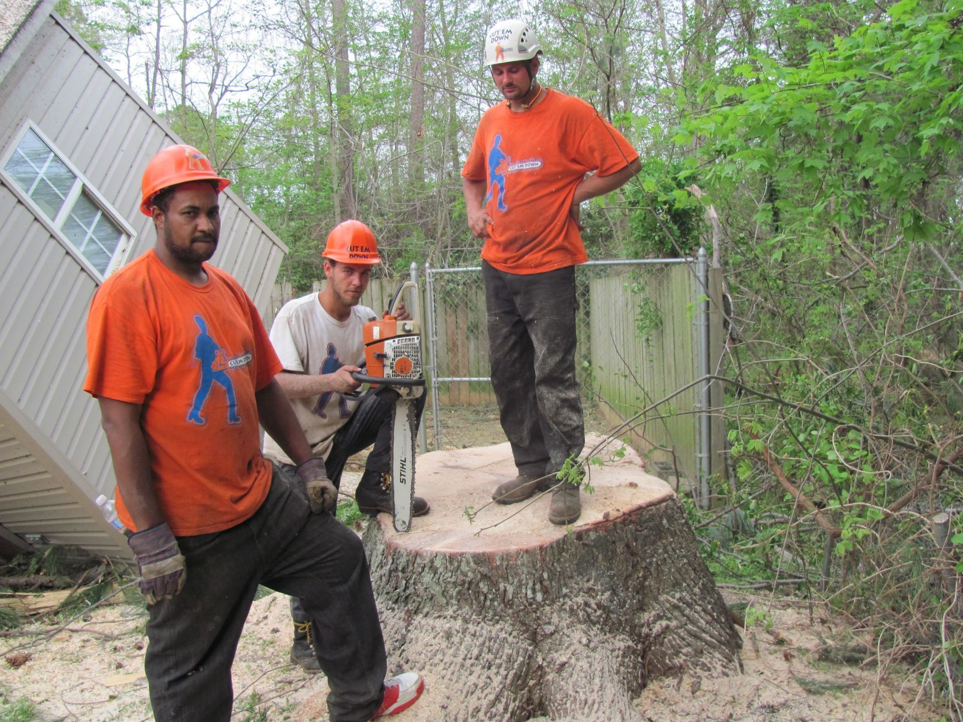 A group of men are standing around a tree stump.