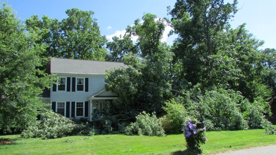 A house with a lot of trees in front of it