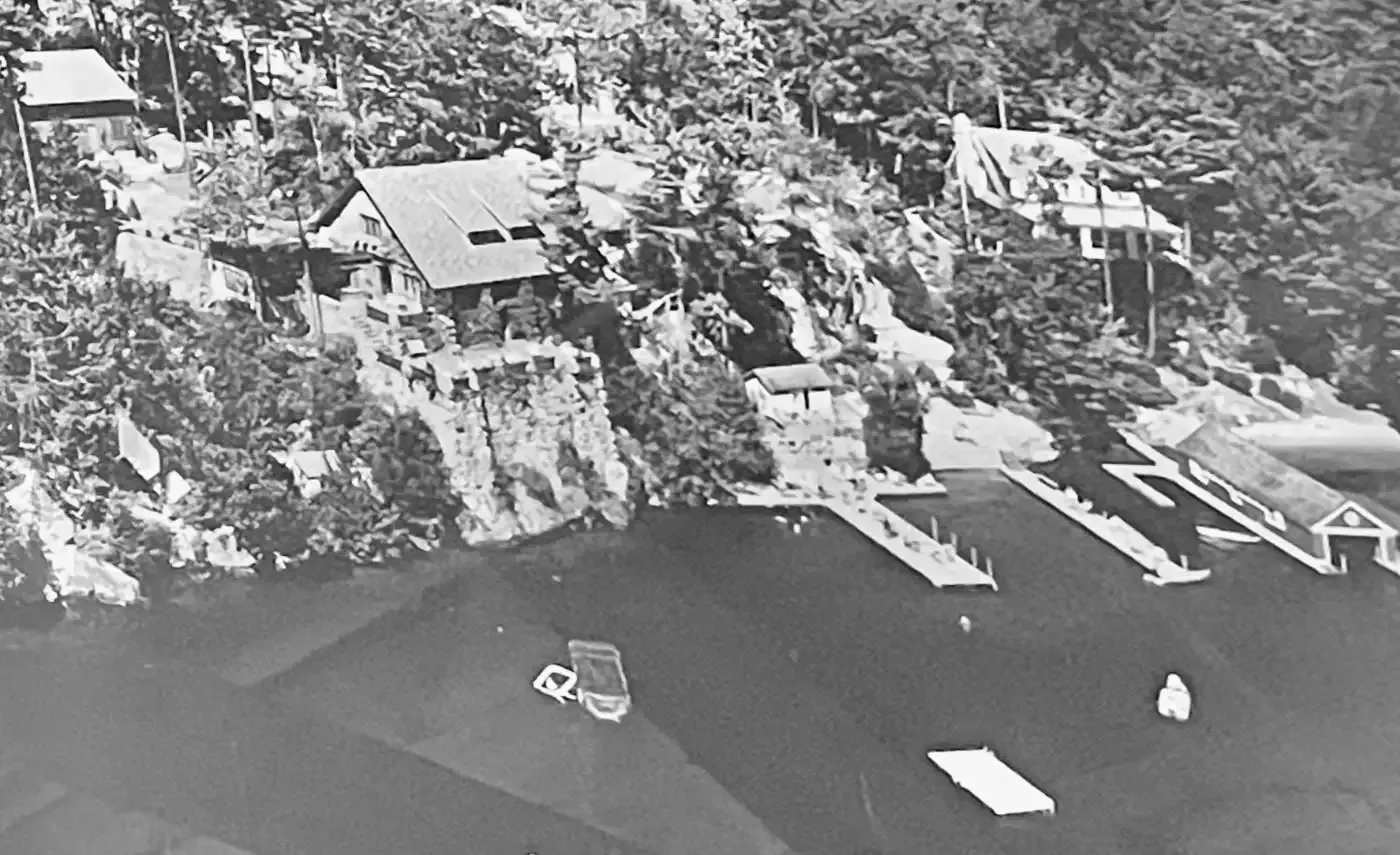 An aerial view of a lake with a lot of houses and trees