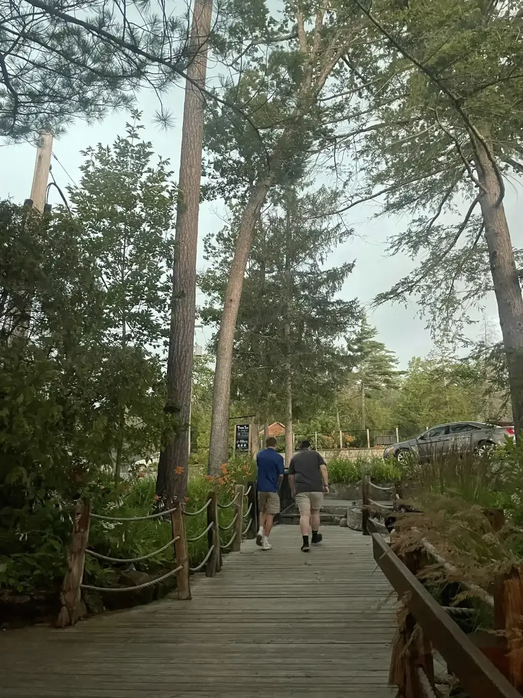 Two people are walking down a wooden walkway surrounded by trees.