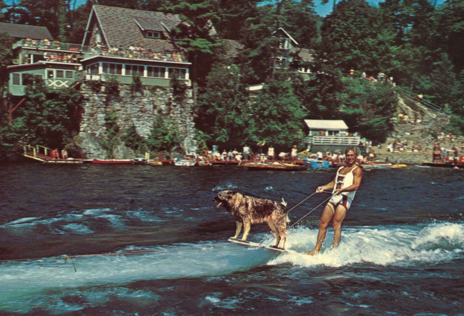 A man and a dog are water skiing on a lake
