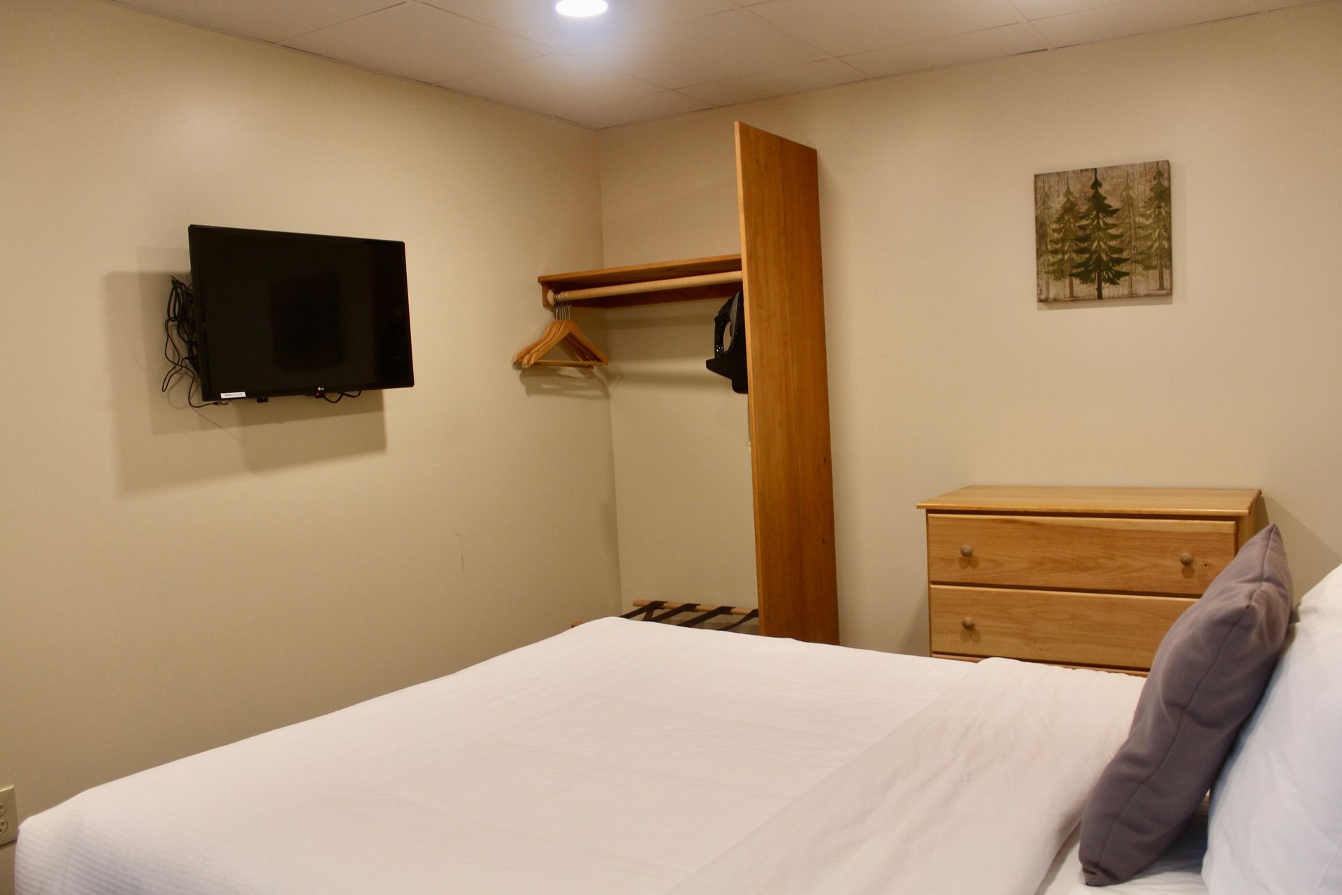 A bedroom with a bed , dresser , television and a painting on the wall.