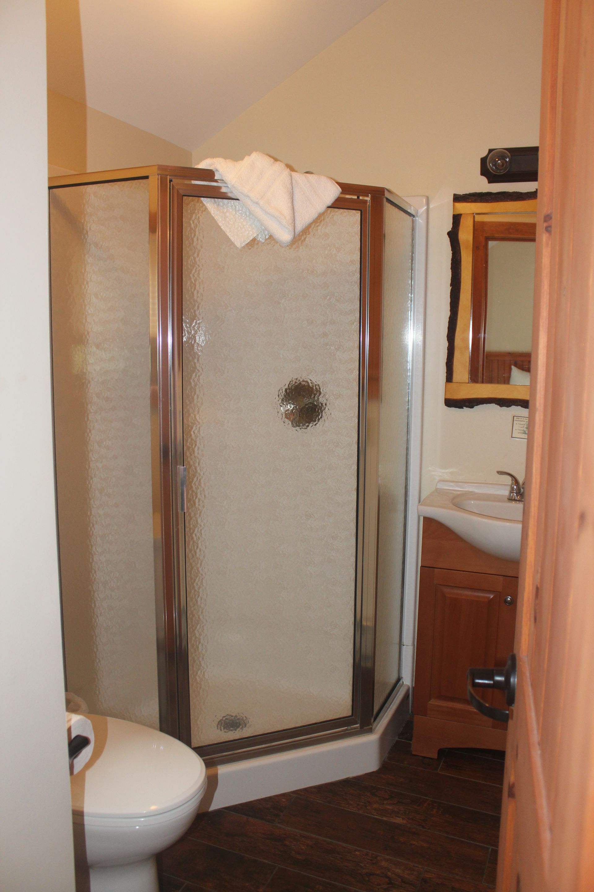 A bathroom with a toilet a sink and a walk in shower
