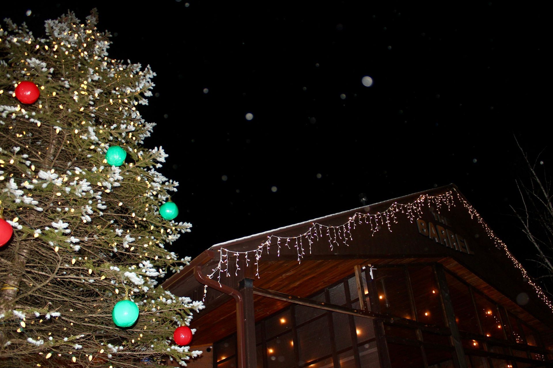 A christmas tree is lit up in front of a building at night