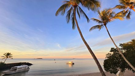 Palm trees over a calm tropical beach at sunset, with a small boat on the water.