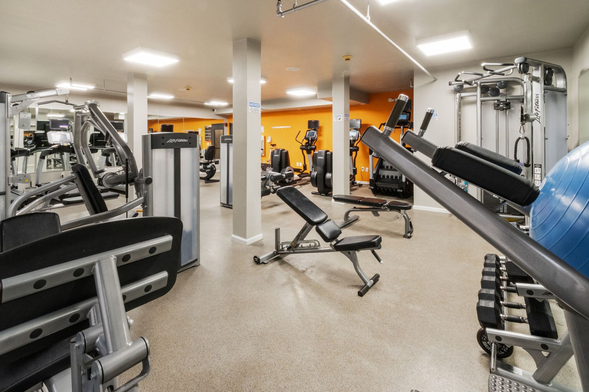 Gym interior with various exercise machines and weights. Our pet-friendly apartments in New Brunswick, NJ offer convenient amenities, like a clubhouse, fitness center, and package lockers. Visit us today for a tour!