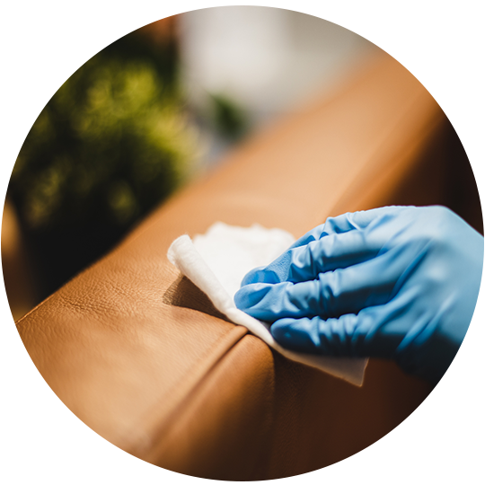 Cleaning Leather Sofa — Brisbane, QLD — Black & White Home Services