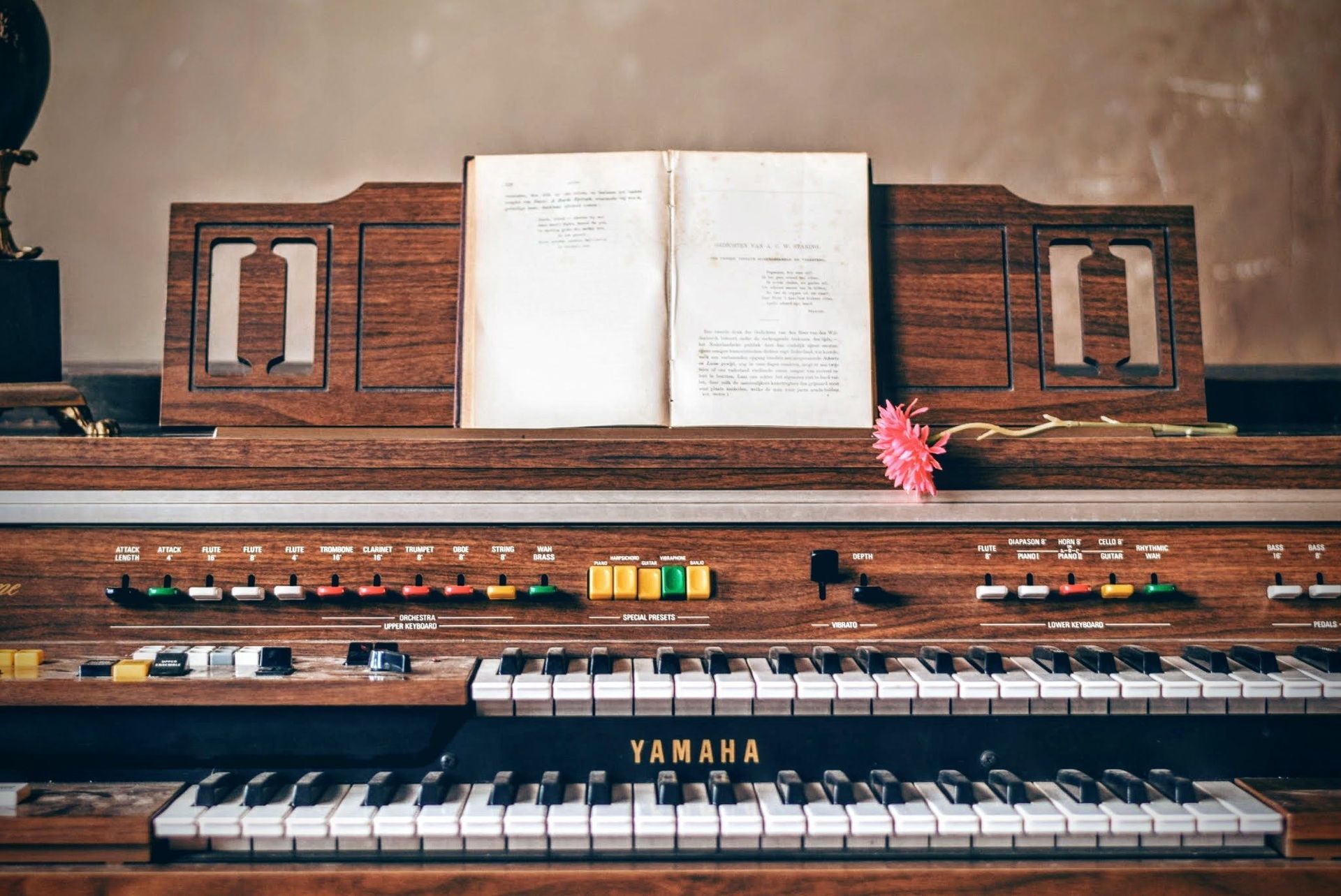 Organ and Treble Instrument