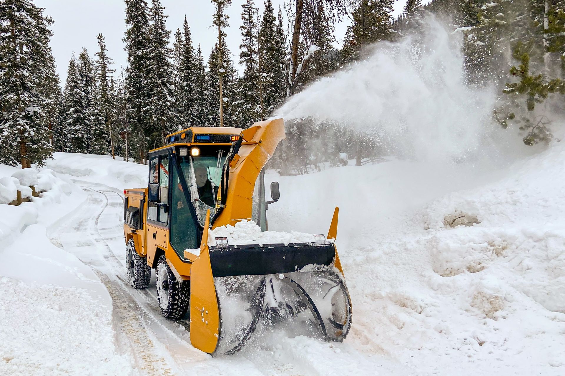 A group of trucks and a snow plow are parked in a gravel lot.