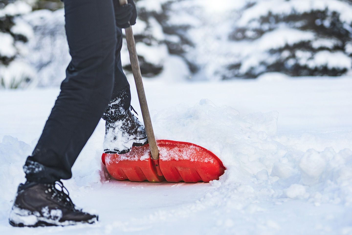 Person shoveling snow with a red shovel on a snowy day.