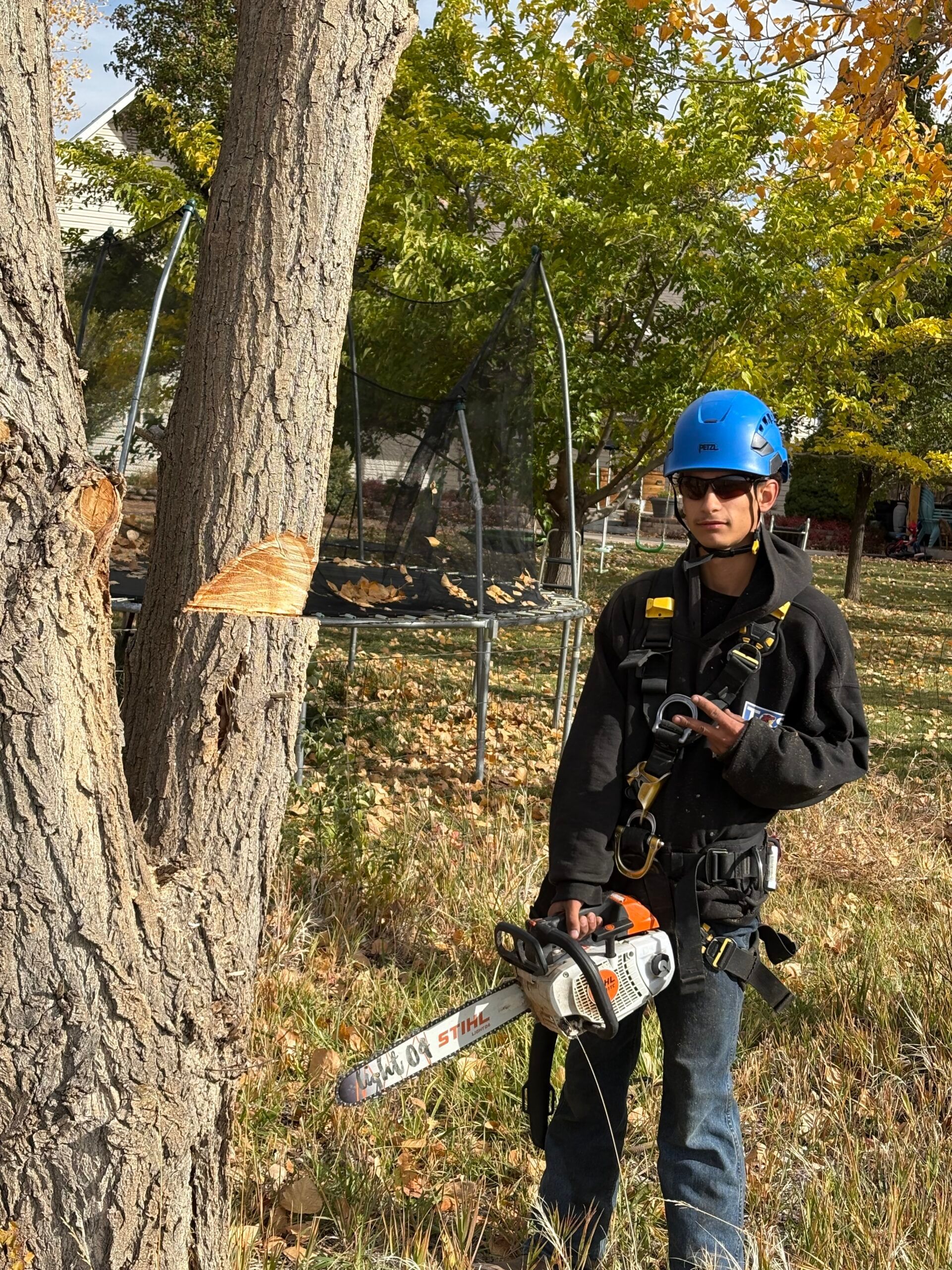 A man is standing next to a tree holding a chainsaw.