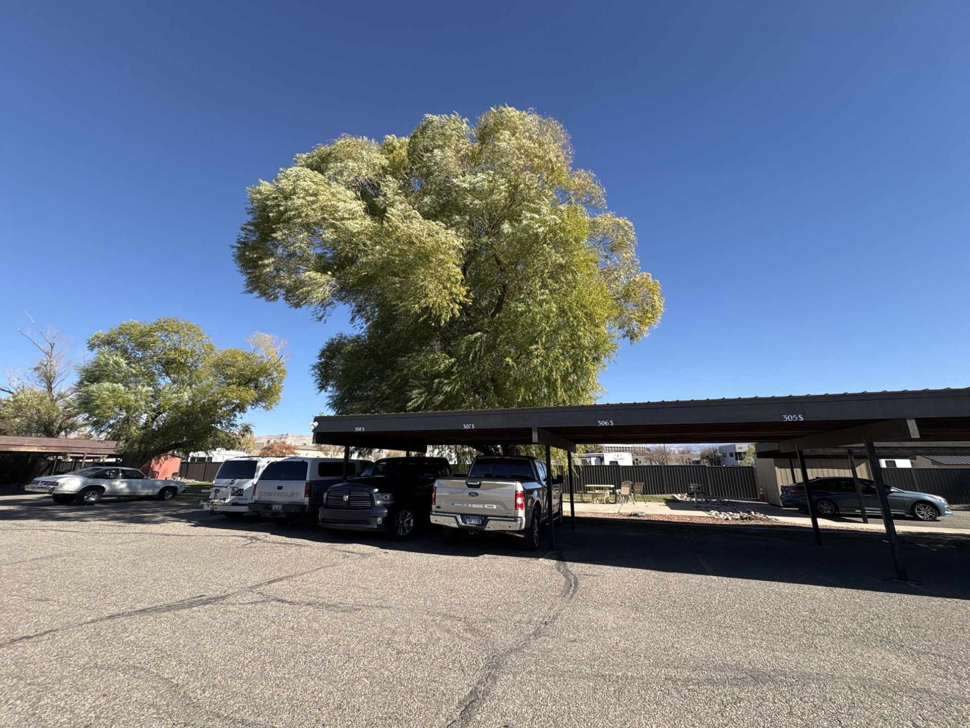 A row of cars are parked under a carport with a tree in the background.