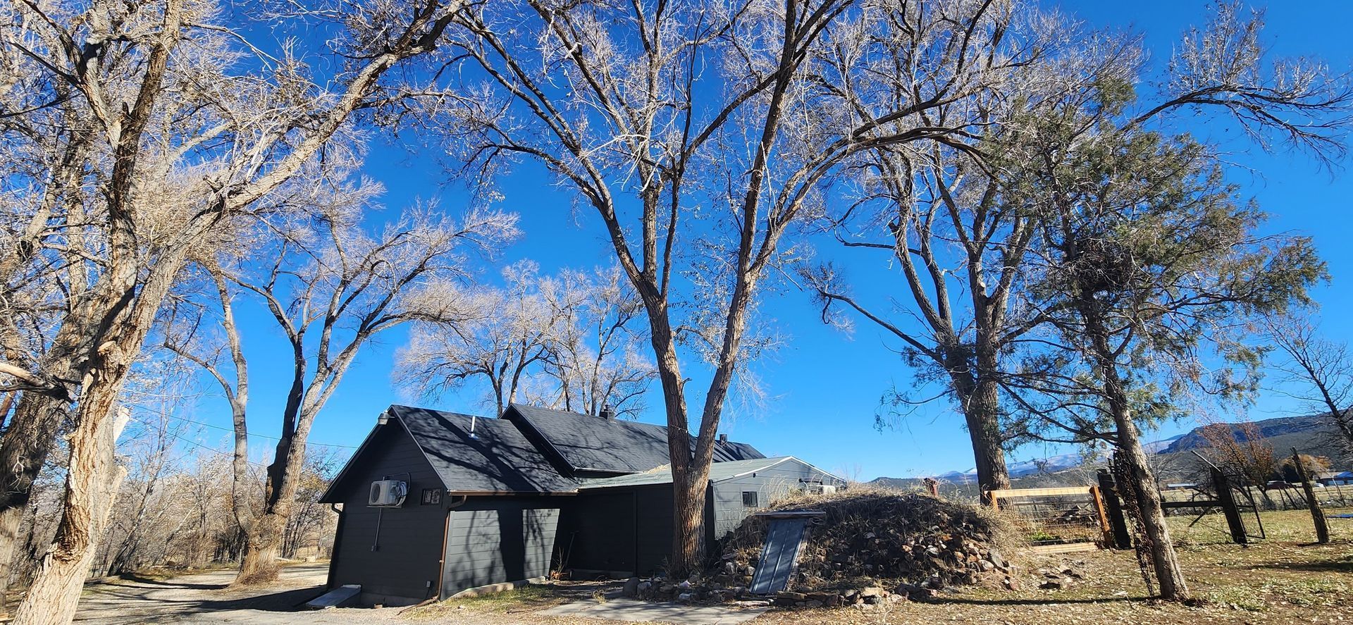 A small house is surrounded by trees on a sunny day.