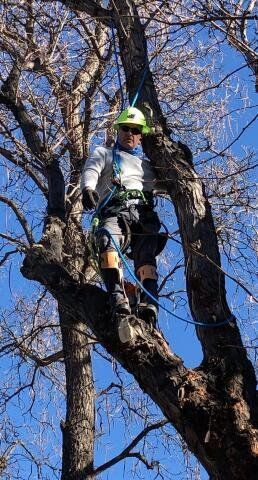 A man with a prosthetic leg is climbing a tree.