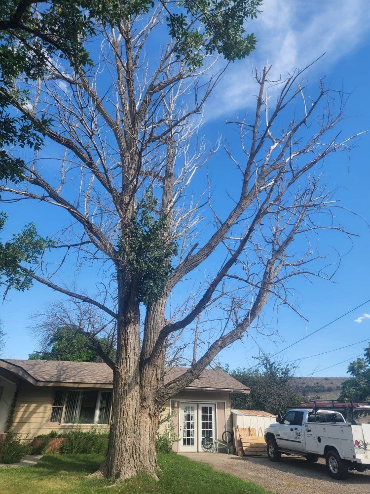 A white truck is parked in front of a house with a tree in the background.