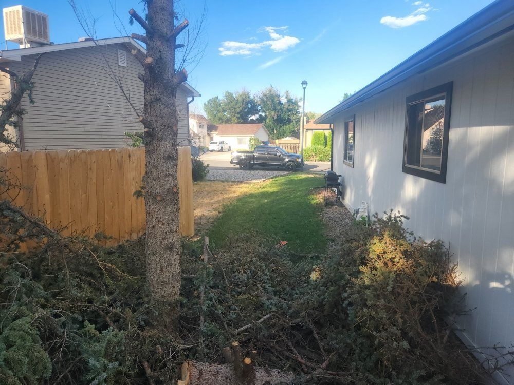 A white house with a wooden fence and a pile of branches in front of it.