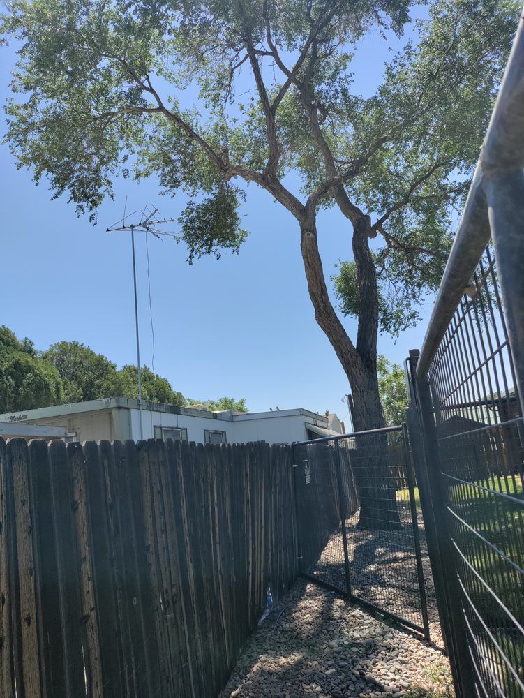 A wooden fence with a tree in the background behind it.