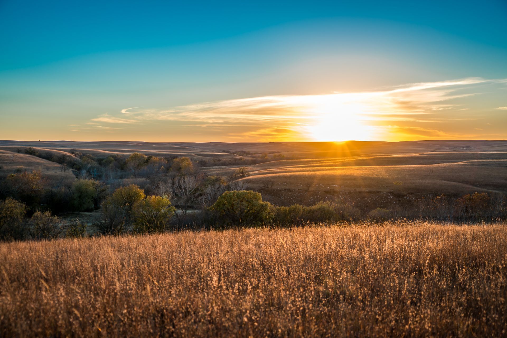 Sunset over rolling hills, illuminating golden fields and a bright blue sky.