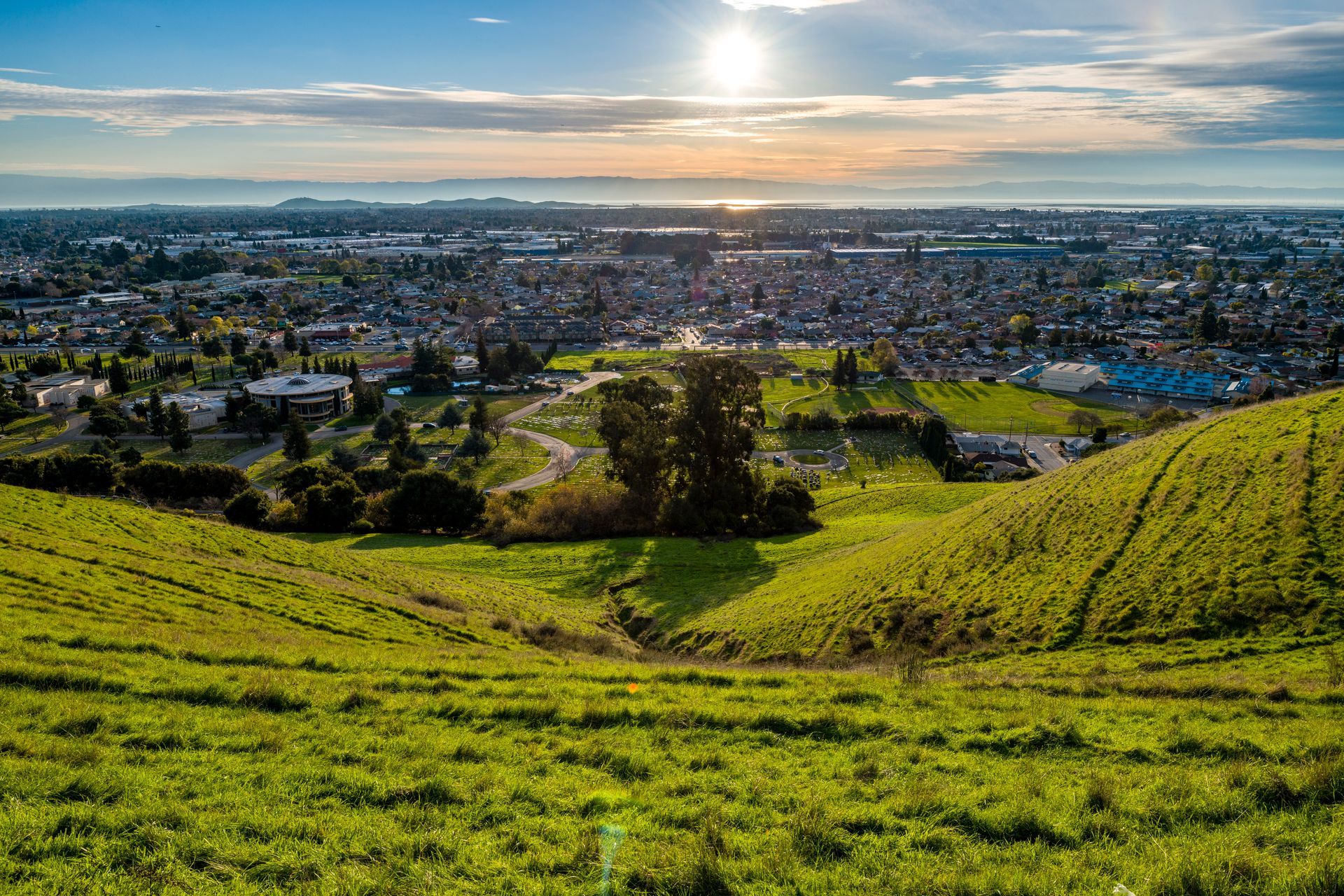 Sunlit green hillside overlooking a cityscape under a clear sky