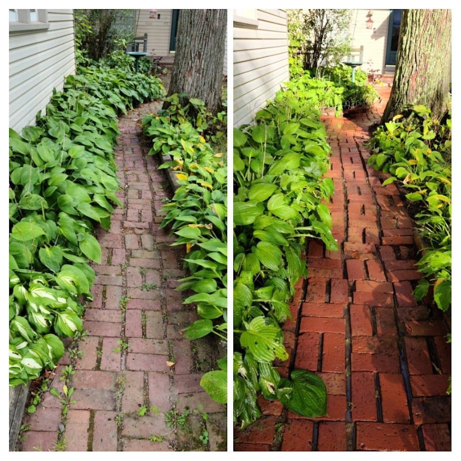 A before and after photo of a brick walkway surrounded by plants.