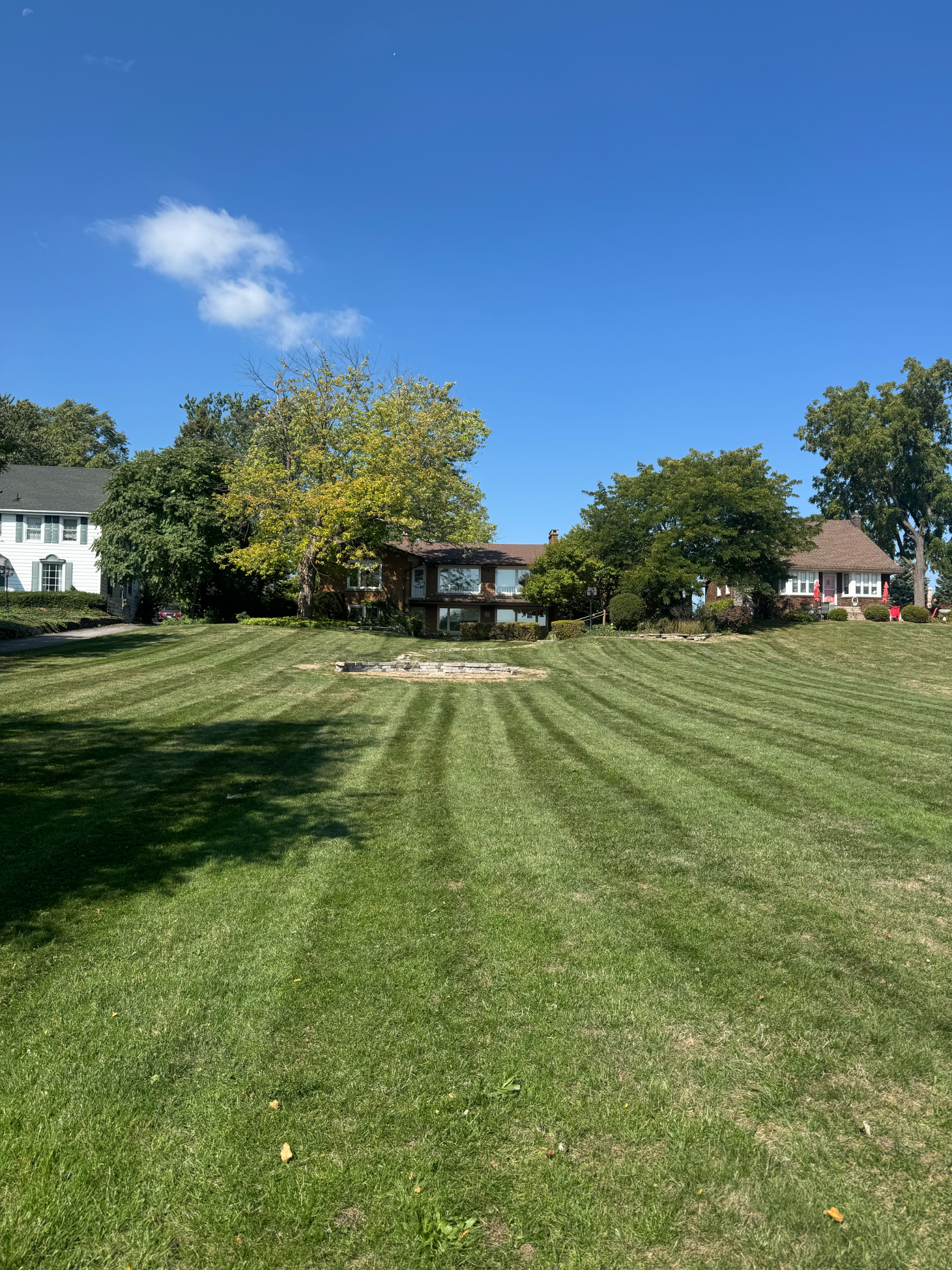 A mowed lawn with stripes leads toward trees and two houses under a bright blue sky.