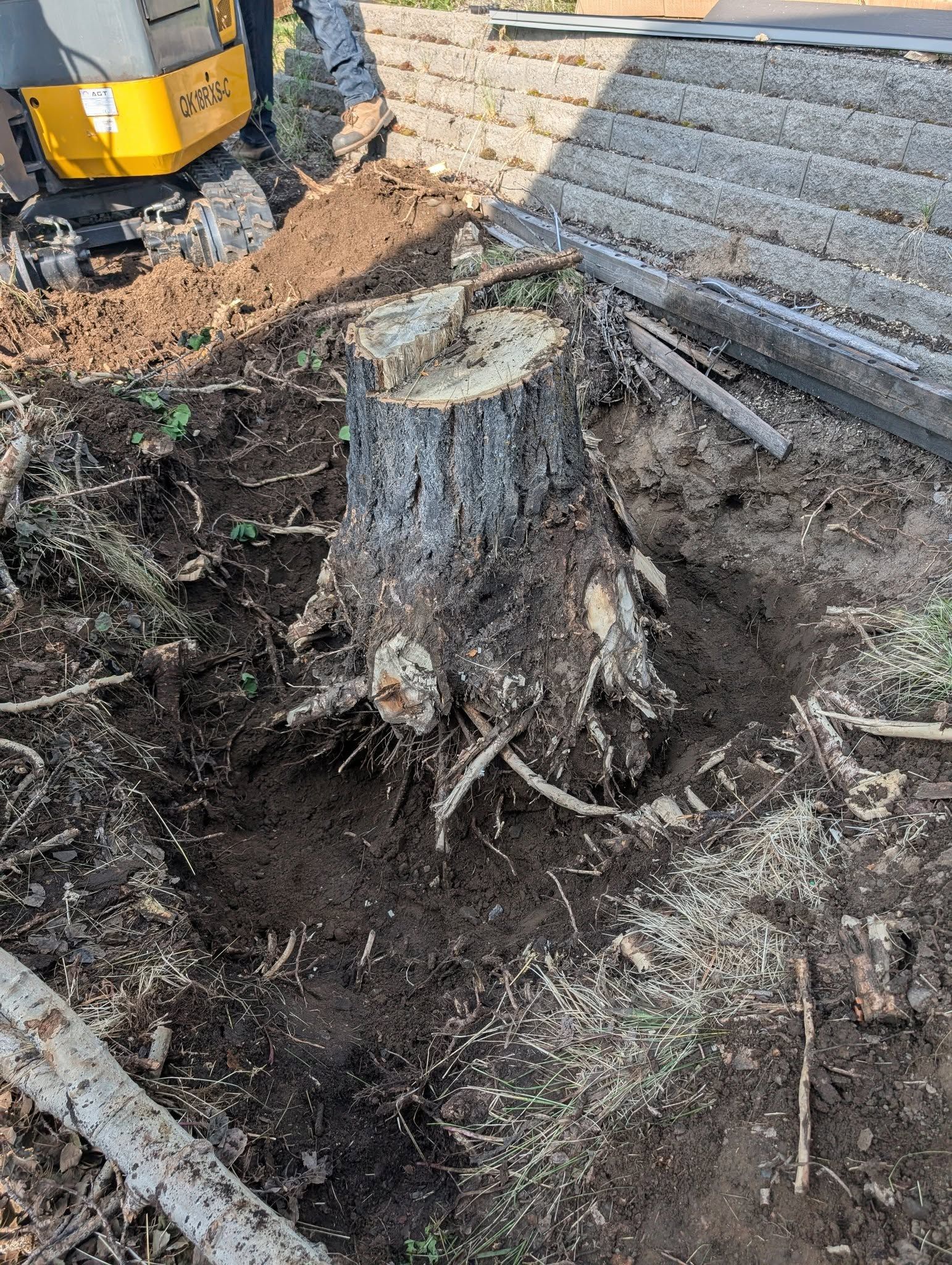 Tree stump in a dirt patch; small excavator in the background.