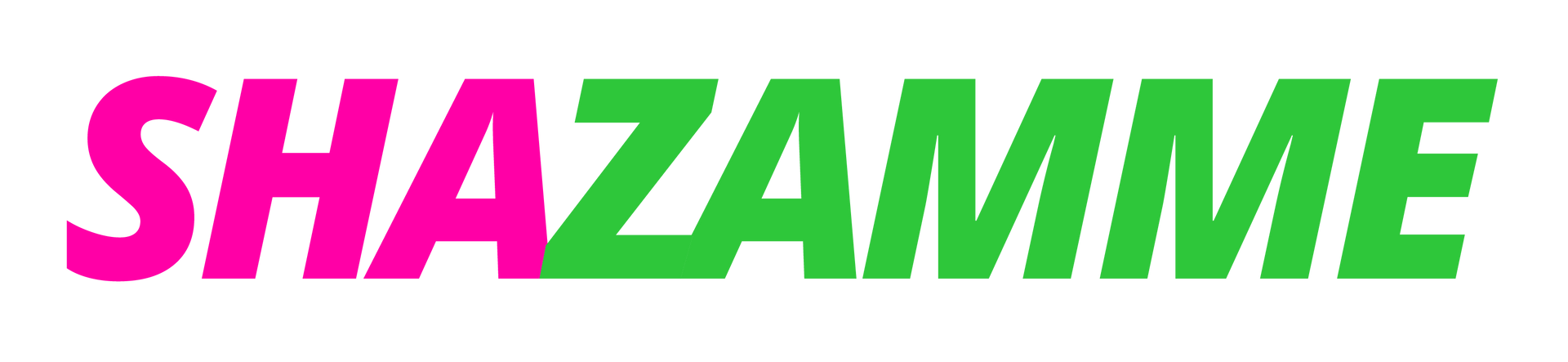 This is the Shazamme logo experts at recruitment marketing technology