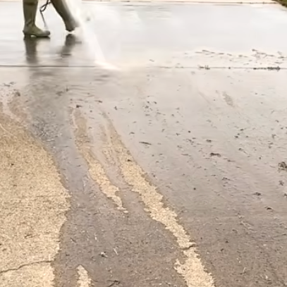Algae and mildew being removed by soft washing.