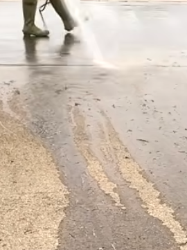 Pressure washer cleaning pool deck surface.