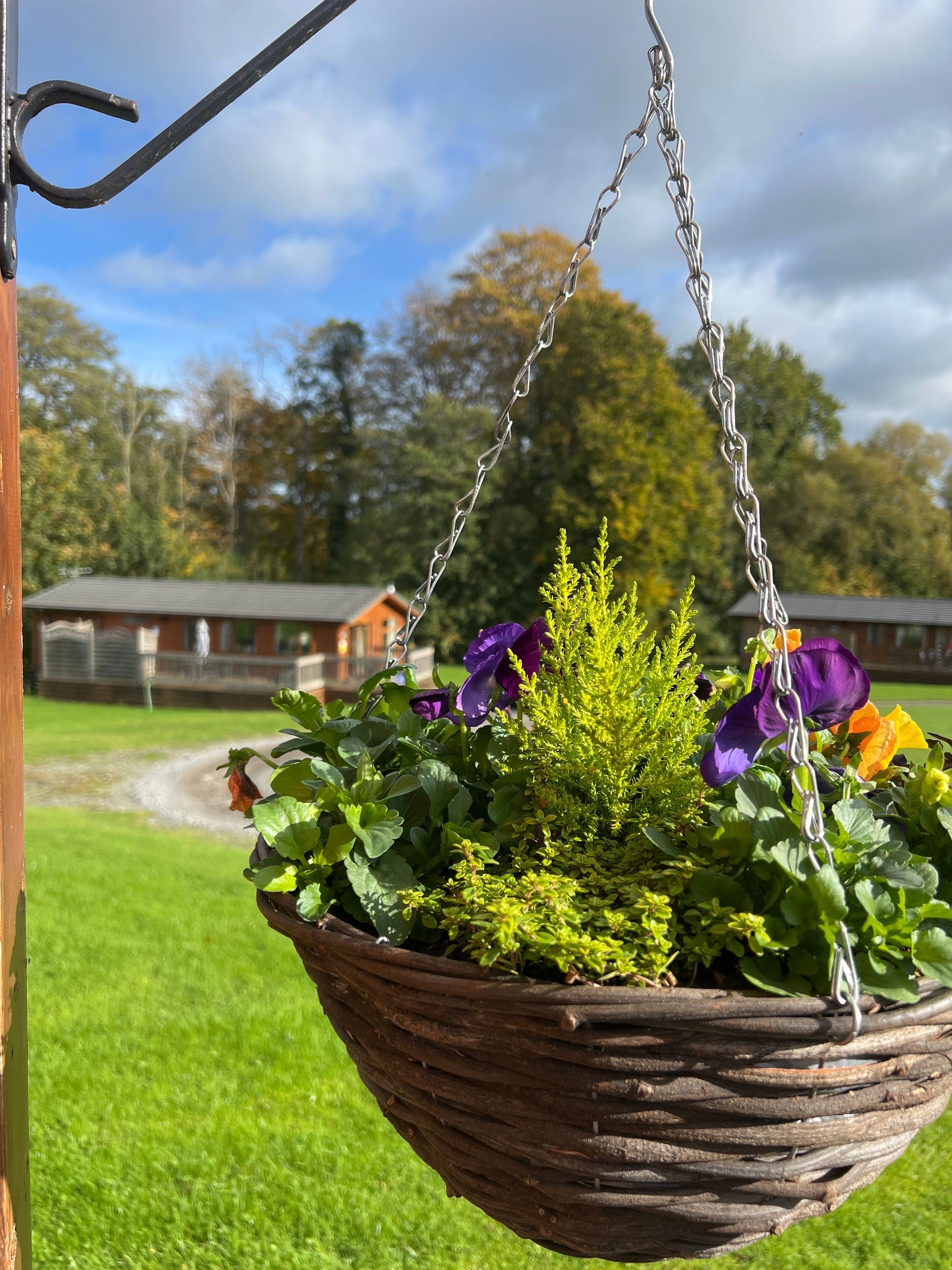 Autumn reflections at Studley Royal Water Garden, Hackfall Wood, autumn foliage, Yorkshire, Autumn c