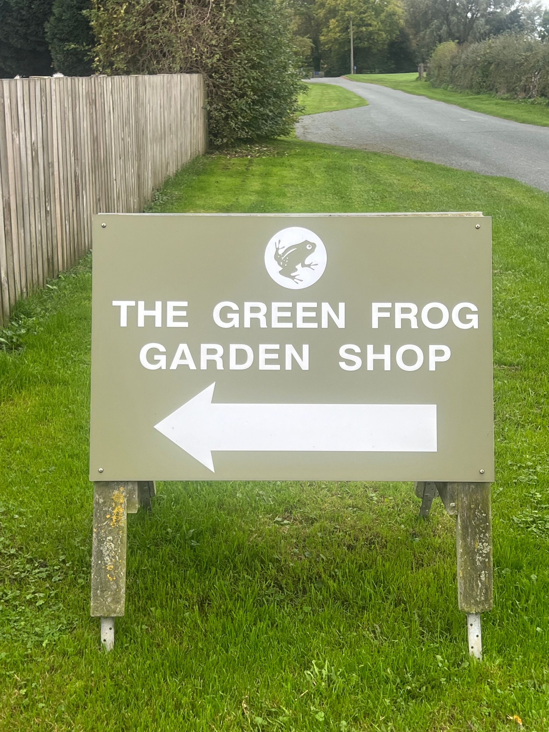green frog sign