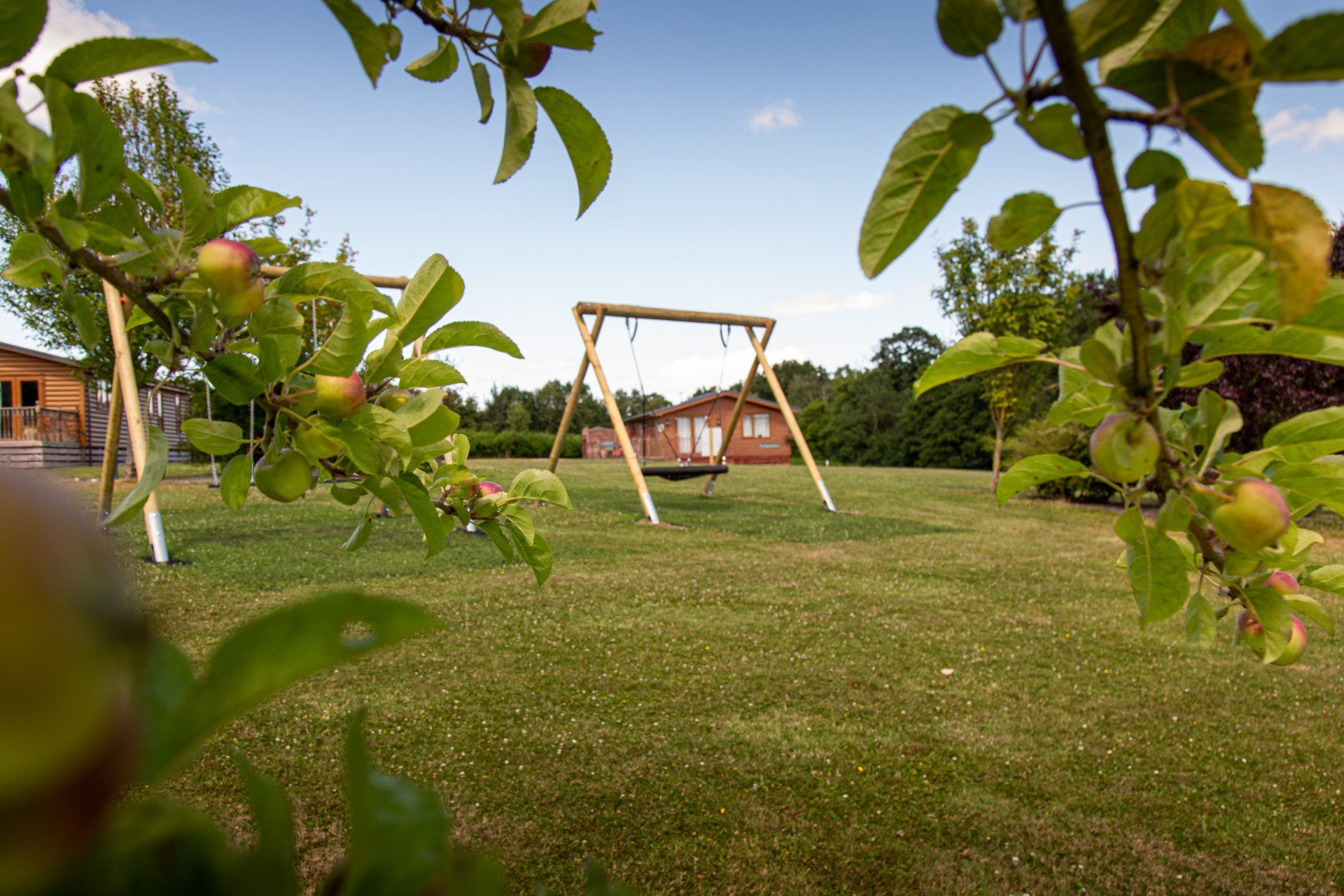 A swing set is sitting in the middle of a lush green field.