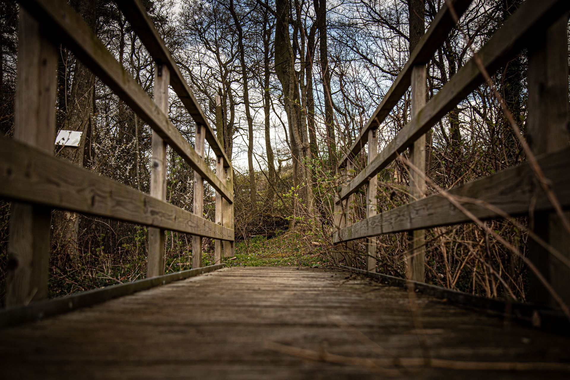 Why Autumn at Kiplin Lodge Park Beats Summer Every Time